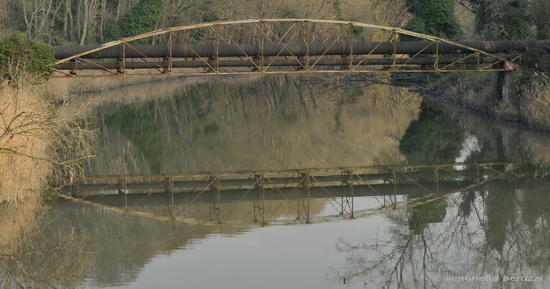 Dalla Sterpaia a Bocca d''Arno